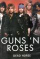 Guns N' Roses: Dead Horse (Vídeo musical)