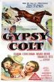 Gypsy Colt 