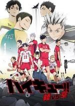 Haikyuu!!: Land vs Sky - The Volleyball Way (OVA) 
