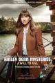 Hailey Dean Mystery: A Will to Kill (TV)