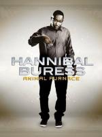 Hannibal Buress: Animal Furnace  - Poster / Imagen Principal