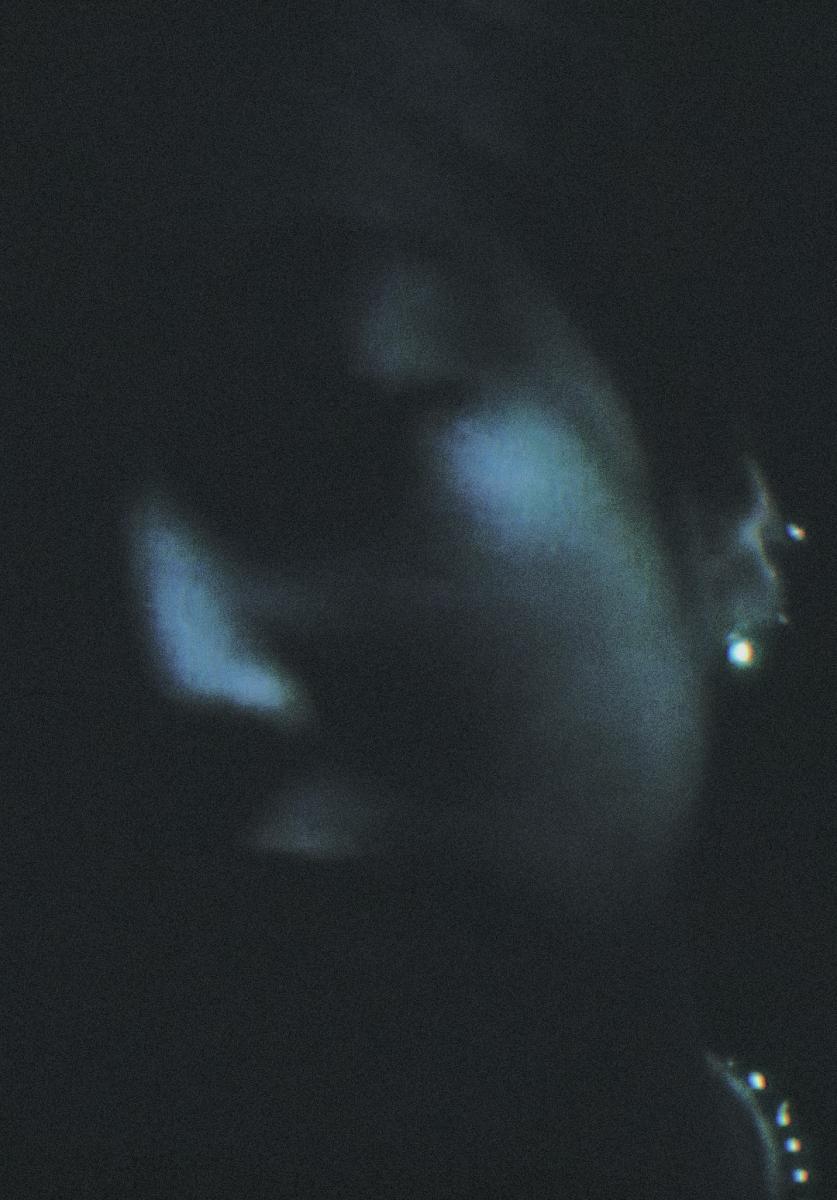 Image gallery for Hardcandy (S) FilmAffinity