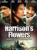 Harrison's Flowers  - Dvd