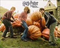 Harry Potter y el prisionero de Azkaban  - Wallpapers