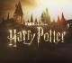 Harry Potter Untitled Series (TV Series)