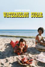 Harry Styles: Watermelon Sugar (Vídeo musical)