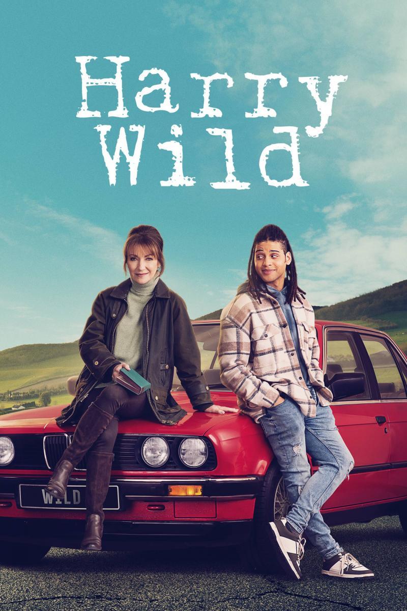 Harry Wild (Serie de TV)