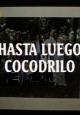 Hasta luego cocodrilo (TV Series) (TV Series)