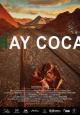 Hay coca (C)