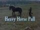 Heavy Horse Pull (C)