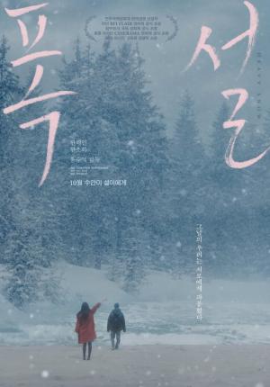 Heavy Snow 
