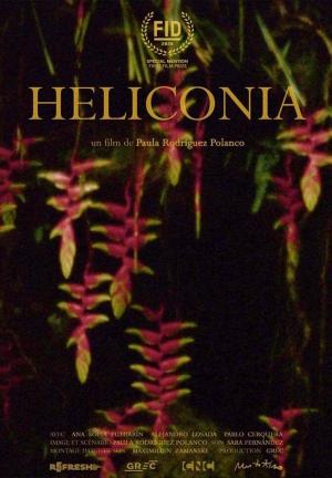 Heliconia (S)