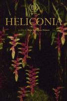 Heliconia (C) - Posters