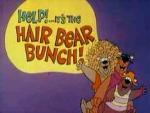 Help!... It's the Hair Bear Bunch! (TV Series)