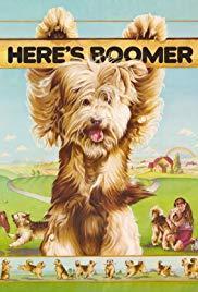 Aquí está Boomer (Serie de TV)