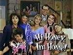 Hi Honey, I'm Home (TV Series)