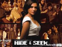 Hide & Seek  - Poster / Imagen Principal