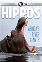Hipopótamo: el gigante de África (TV)