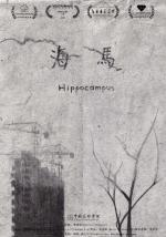Hippocampus (S)
