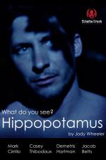 Hippopotamus (C)
