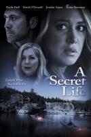 Una vida secreta  - Poster / Imagen Principal