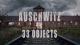 Auschwitz en 33 objetos (Serie de TV)