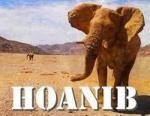 Hoanib - The Secret of the Desert Elephants (TV)