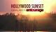 Hollywood Sunset: A Tribute to Entourage (TV)