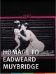 Homage to Eadweard Muybridge (C)