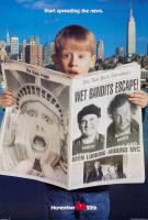 Solo en casa 2: Perdido en Nueva York  - Posters