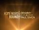Homeward Bound: A Grammy Salute to the Songs of Paul Simon (TV)
