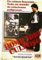 Homicidio culposo  - Poster / Imagen Principal