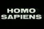 Homo sapiens (S)