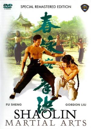 Shaolin Martial Arts 