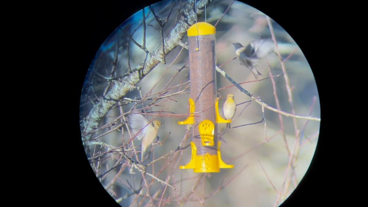 Horse Opera (2022) FilmAffinity