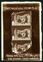 Horse Shoeing (C) - Poster / Imagen Principal