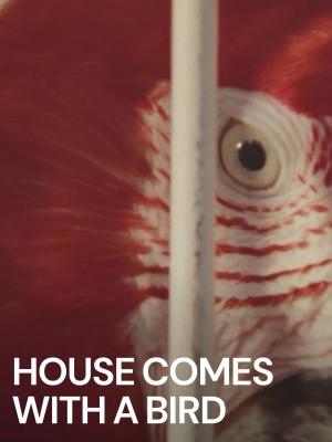 House Comes with a Bird (C)