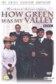 How Green Was My Valley (TV) (TV Miniseries)