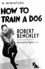 How to Train a Dog (S)