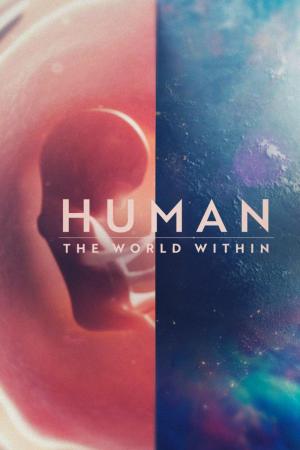 Dentro del cuerpo humano (Serie de TV)