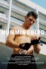 Hummingbird (S)