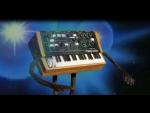 A Synthesizer for Christmas (Music Video)