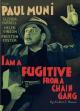 I Am a Fugitive From a Chain Gang 