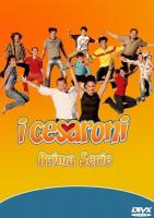 I Cesaroni (Serie de TV) - Poster / Imagen Principal
