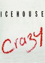 Icehouse: Crazy (Music Video)