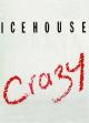 Icehouse: Crazy (Music Video)