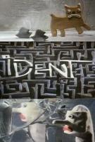 Ident (S) - Poster / Main Image