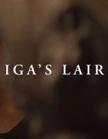 Iga's Lair: An Alternative Path to Game Creation (C) - Poster / Imagen Principal
