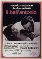 Bell' Antonio  - Poster / Main Image