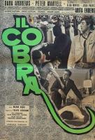 El cobra  - Poster / Imagen Principal